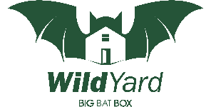 Big Bat Box
